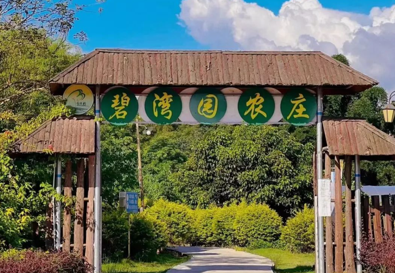 图片51.png