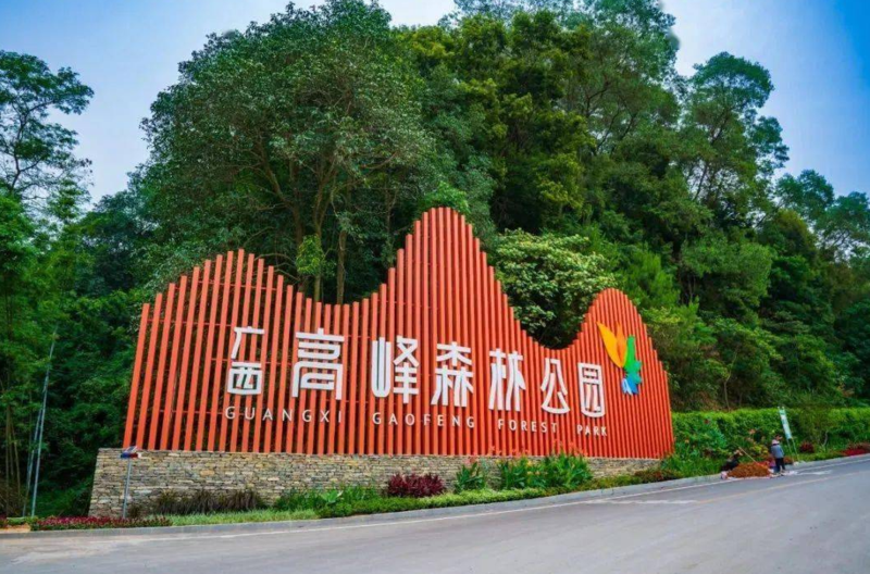 图片91.png